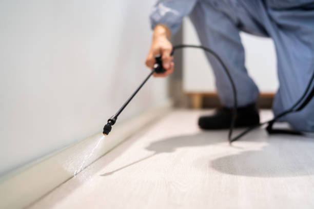 Licensed Pest Control service in Highland, AR - Show Me Pest Control